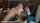 sarah steele cumshot facial