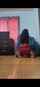 camgirl cam live