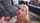 teen blonde cumshot