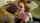 redhead petite cumshot