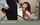 jav asian japanese