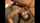 blowjob amateur cim