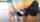 camgirl dogstyle blowjob