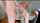 blowjob ginger bwc