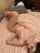 amateur video escort