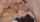 threesome cum on face ffm