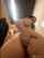 anal blowjob sex