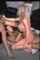 threesome busty blonde