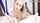 camgirl blowjob blonde