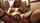 solo masturbation shay sights