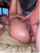 blonde ass ass hole