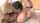 ffm bdsm ball gag