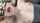 blowjob deepthroat cim