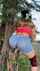 latina big butt big lips