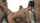 wecumtoyou little caprice jennifer jane