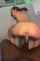 bbc slut huge cock