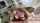 blond hair blowjob deepthroat