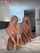 blond teen pink pussy