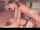 pretty pounded milf
