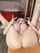 asian boobs big boobs