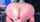 camgirl masturbation toys