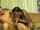 blowjob cock sucking cock worship