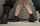 bottom creampie short