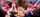 harmony vision jasmine jae threesome