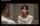 japanese jav married