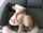 jasmine grey asian doggy