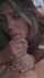blonde long hair blowjob