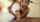 asian big dick bwc