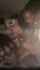 ebony threesome big dick