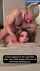 from behind cuckold doggy