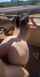 brunette doggystyle outside