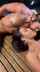 3som bbc latinas