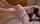jav japanese missionary