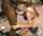 bnwo blacked blonde