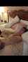 bbc brunnette bed
