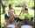 rocco foursome outdoor