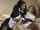 maid lesbians fingering