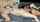 camgirl latina small books