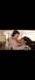 asian jav japanese