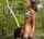 lesbian cunnilingus pussy eating