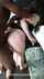 brown hair cuckold bbc