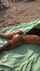 culona nalgona bigass