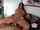 anal assfuck cum on tits