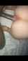 interracial grip pink pussy