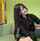 japanese handjob mafans