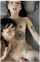camgirl amateur model